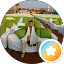 Miguel Beshalske Avatar
